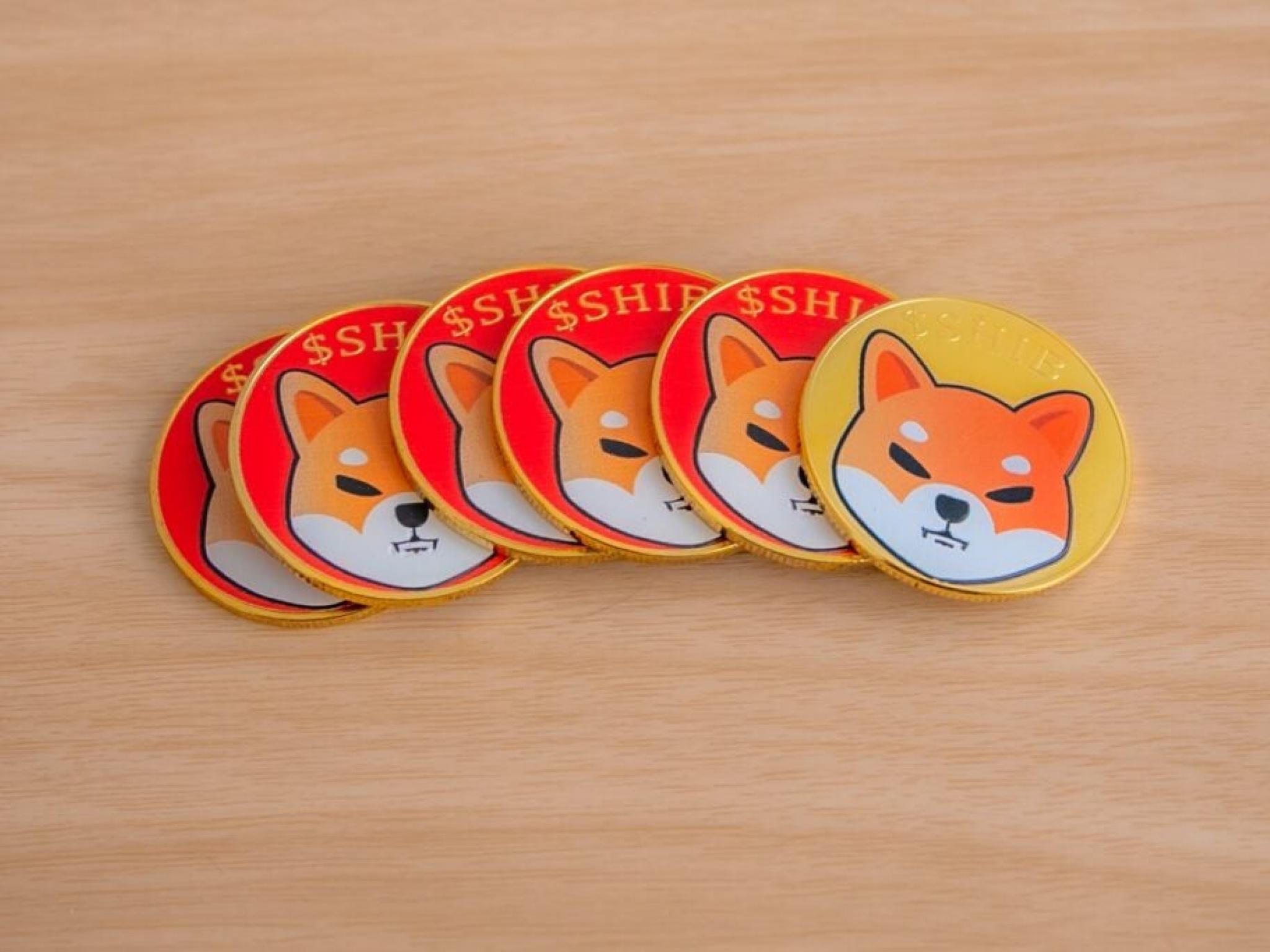 Shiba Inu Burns 13 Million Coins In 24 Hours: ‘SHIB Chart Looks Primed For Launch Very Soon,’ Says Trader