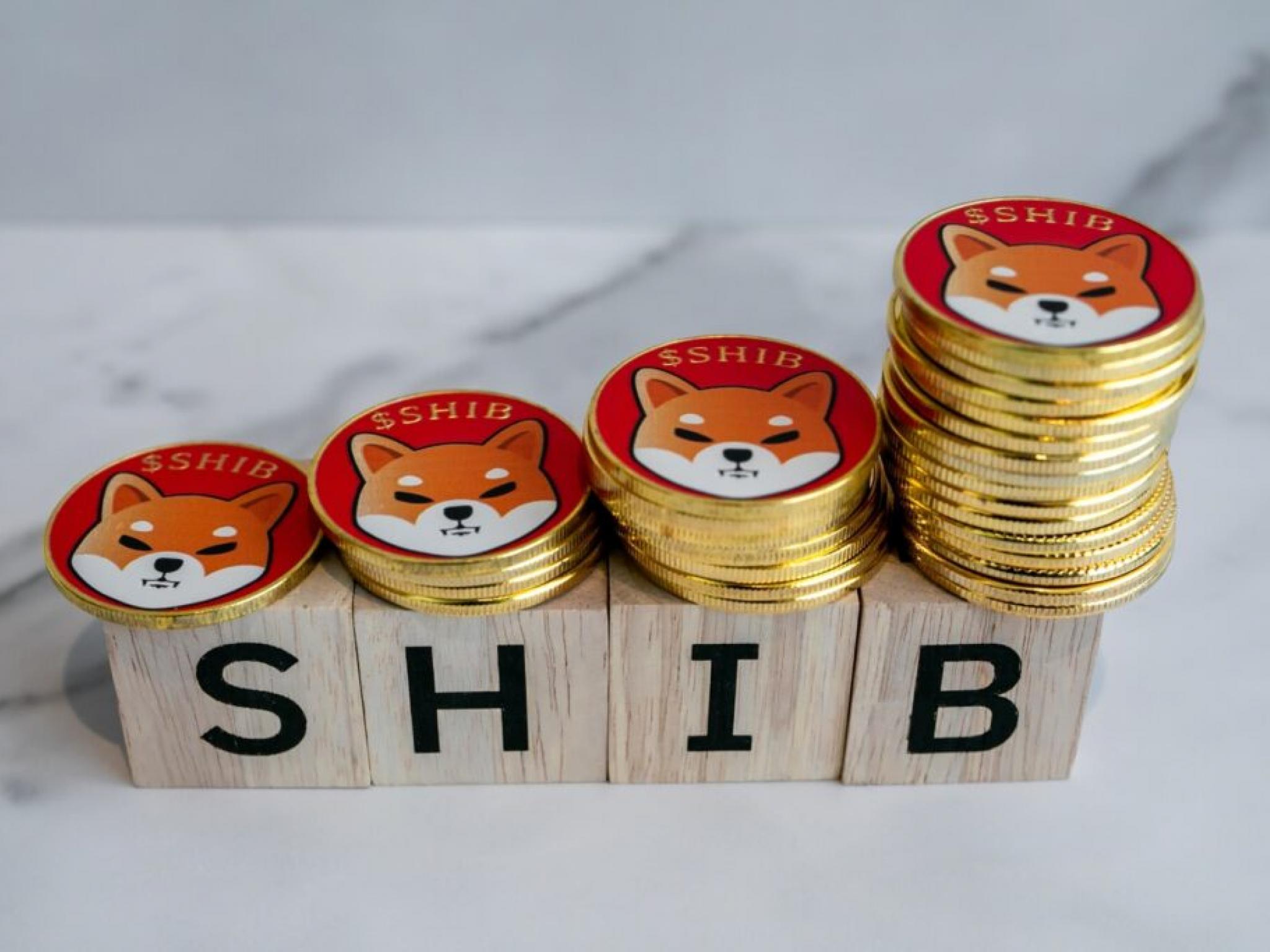 Shiba Inu Burn Rate Soars 48,320% As SHIB Spikes 5%: Is It Time?